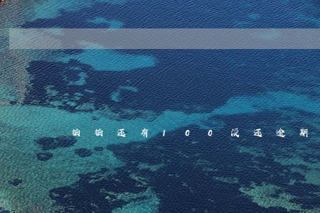 拍拍还有100没还逾期了