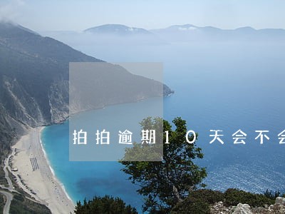 拍拍逾期10天会不会打电话