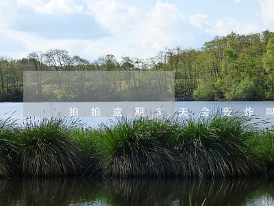 拍拍逾期3天会轰炸吗 拍拍逾期3天会轰炸吗