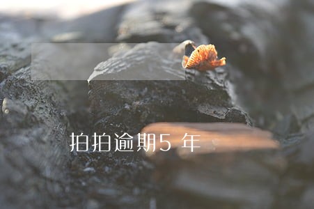 拍拍逾期5年 拍拍逾期5年