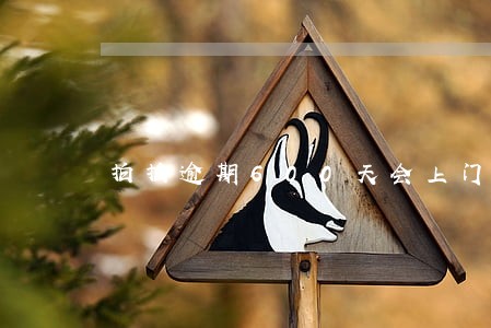 拍拍逾期600天会上门吗