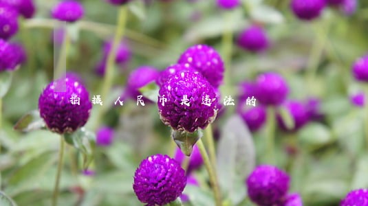 拍摄人民币是违法的 拍摄人民币是违法的