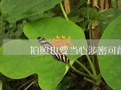 拍照也要当心涉密可能触犯刑法 拍照也要当心涉密可能触犯刑法
