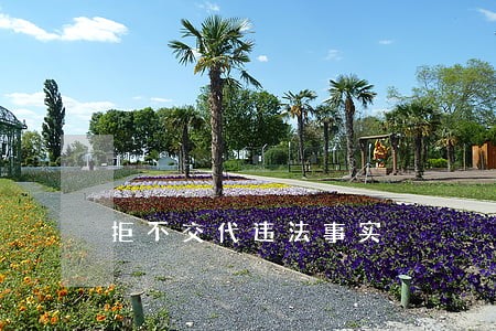 拒不交代违法事实 拒不交代违法事实