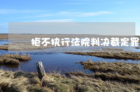 拒不执行法院判决裁定罪申请 拒不执行法院判决裁定罪申请