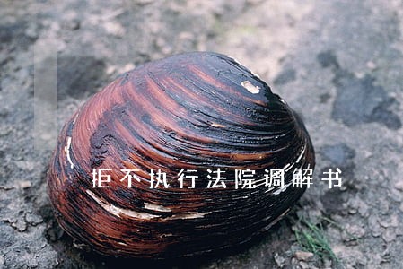 拒不执行法院调解书 拒不执行法院调解书