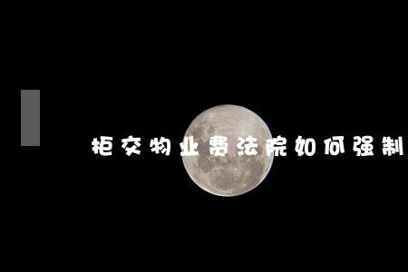 拒交物业费法院如何强制执行 拒交物业费法院如何强制执行