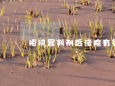 拒执罪判刑后法院有罚金吗 拒执罪判刑后法院有罚金吗
