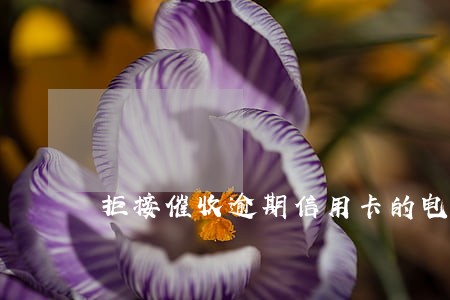 拒接催收逾期信用卡的电话 拒接催收逾期信用卡的电话