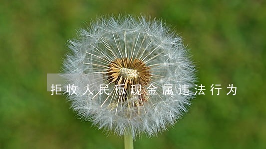 拒收人民币现金属违法行为 拒收人民币现金属违法行为