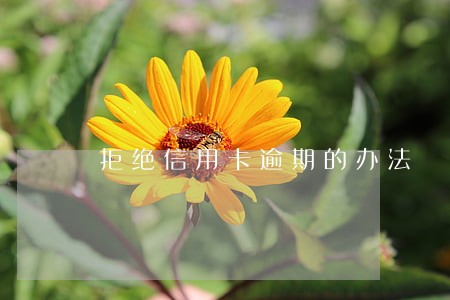 拒绝信用卡逾期的办法 拒绝信用卡逾期的办法