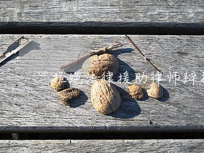 拒绝法律援助律师辩护 拒绝法律援助律师辩护