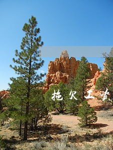 拖欠工资使用法律条文