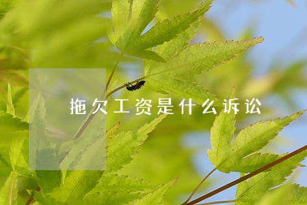 拖欠工资是什么诉讼 拖欠工资是什么诉讼