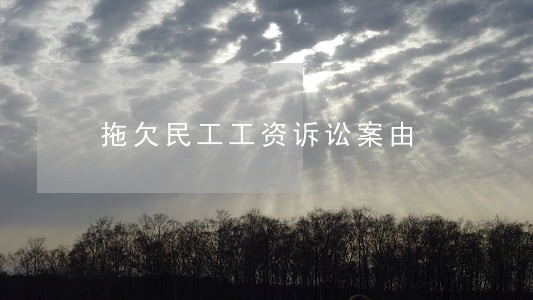 拖欠民工工资诉讼案由 拖欠民工工资诉讼案由