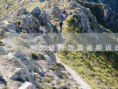 拖欠银行贷款逾期诉讼案例 拖欠银行贷款逾期诉讼案例