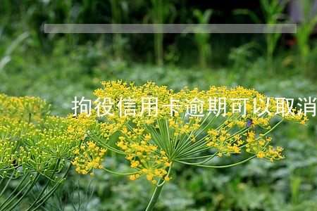 拘役信用卡逾期可以取消吗 拘役信用卡逾期可以取消吗