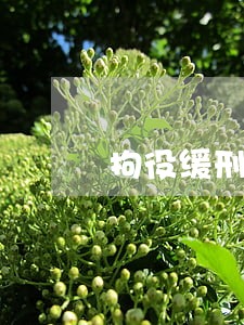 拘役缓刑用送法院吗 拘役缓刑用送法院吗
