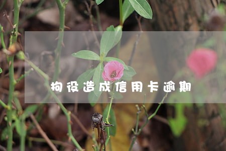 拘役造成信用卡逾期 拘役造成信用卡逾期