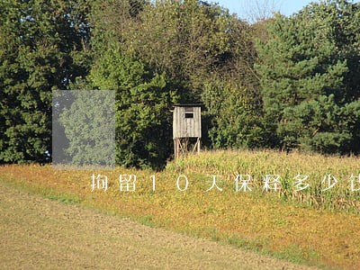 拘留10天保释多少钱 拘留10天保释多少钱