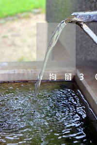 拘留30天征信逾期 拘留30天征信逾期