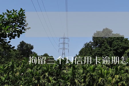 拘留三个月信用卡逾期怎么办 拘留三个月信用卡逾期怎么办