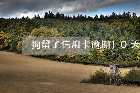 拘留了信用卡逾期10天 拘留了信用卡逾期10天