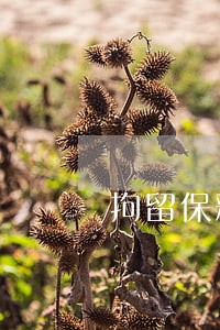 拘留保释金要多少 拘留保释金要多少