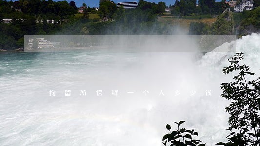 拘留所保释一个人多少钱 拘留所保释一个人多少钱
