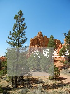 拘留是违法吗那什么是违法