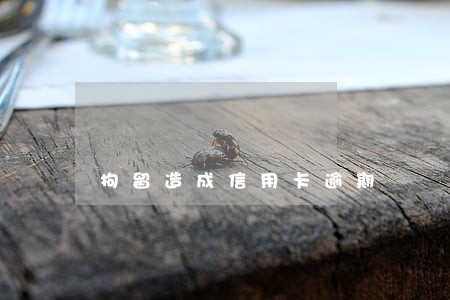 拘留造成信用卡逾期 拘留造成信用卡逾期