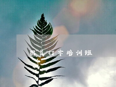 招员打字培训班