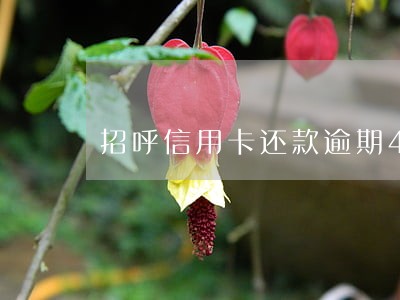 招呼信用卡还款逾期4天 招呼信用卡还款逾期4天