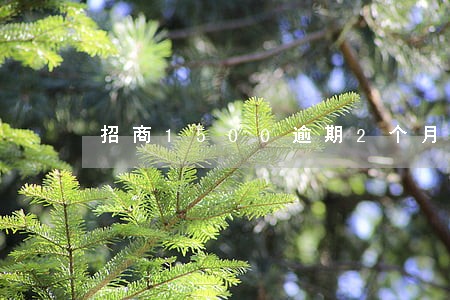 招商1500逾期2个月 招商1500逾期2个月