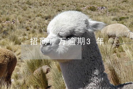 招商1万逾期3年 招商1万逾期3年