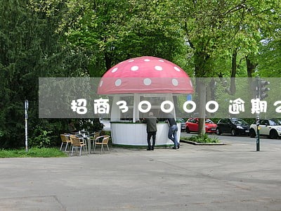 招商30000逾期2月怎么样 招商30000逾期2月怎么样