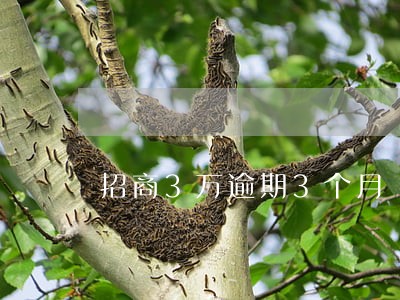 招商3万逾期3个月 招商3万逾期3个月
