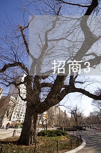 招商3万逾期3个月了 招商3万逾期3个月了