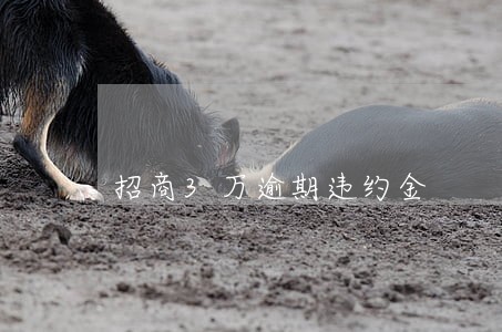 招商3万逾期违约金 招商3万逾期违约金