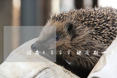 招商4000块逾期一年要还多少 招商4000块逾期一年要还多少