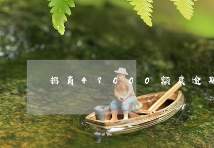 招商49000额度逾期