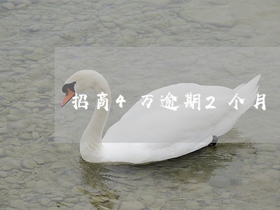 招商4万逾期2个月 招商4万逾期2个月