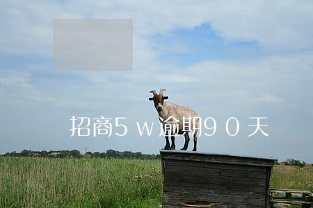 招商5w逾期90天