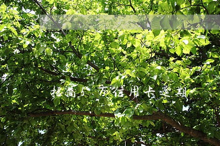 招商5万信用卡逾期 招商5万信用卡逾期