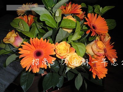 招商5万逾期一年怎么办 招商5万逾期一年怎么办