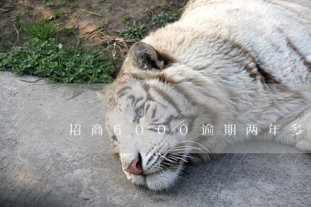招商6000逾期两年多钱 招商6000逾期两年多钱