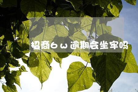 招商6w逾期会坐牢吗 招商6w逾期会坐牢吗