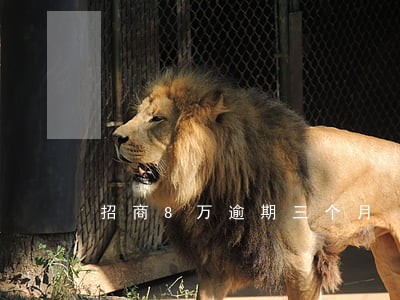 招商8万逾期三个月 招商8万逾期三个月