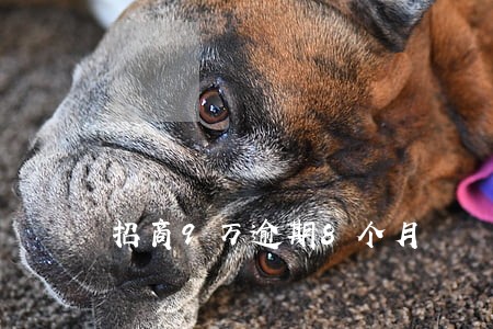 招商9万逾期8个月 招商9万逾期8个月