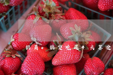 招商e招贷晚还4天算逾期 招商e招贷晚还4天算逾期